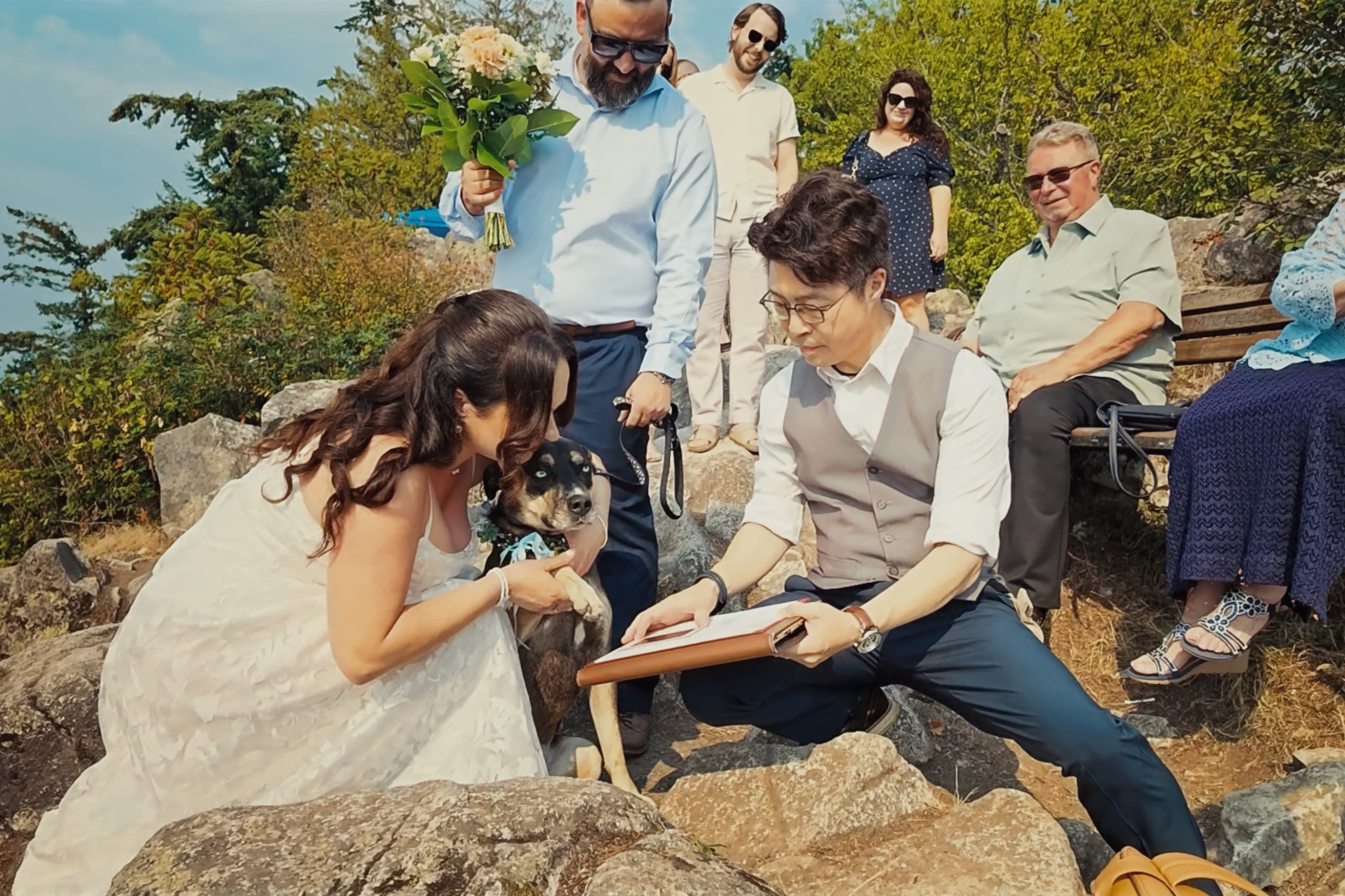 Temporary placement for an animal participating in a wedding ceremony