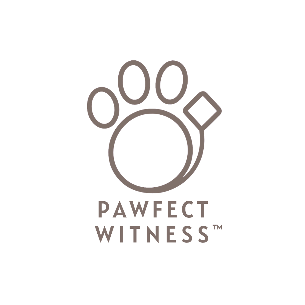 Pawfect Witness